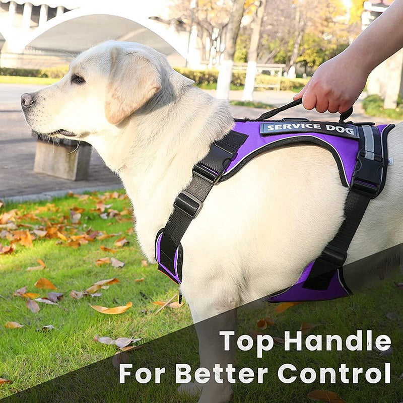 Introducing the Reflective Explosion-Proof Service Dog Harness, designed for your furry companion's safety and comfort. With its reflective material, your service dog will be visible at night, providing peace of mind.