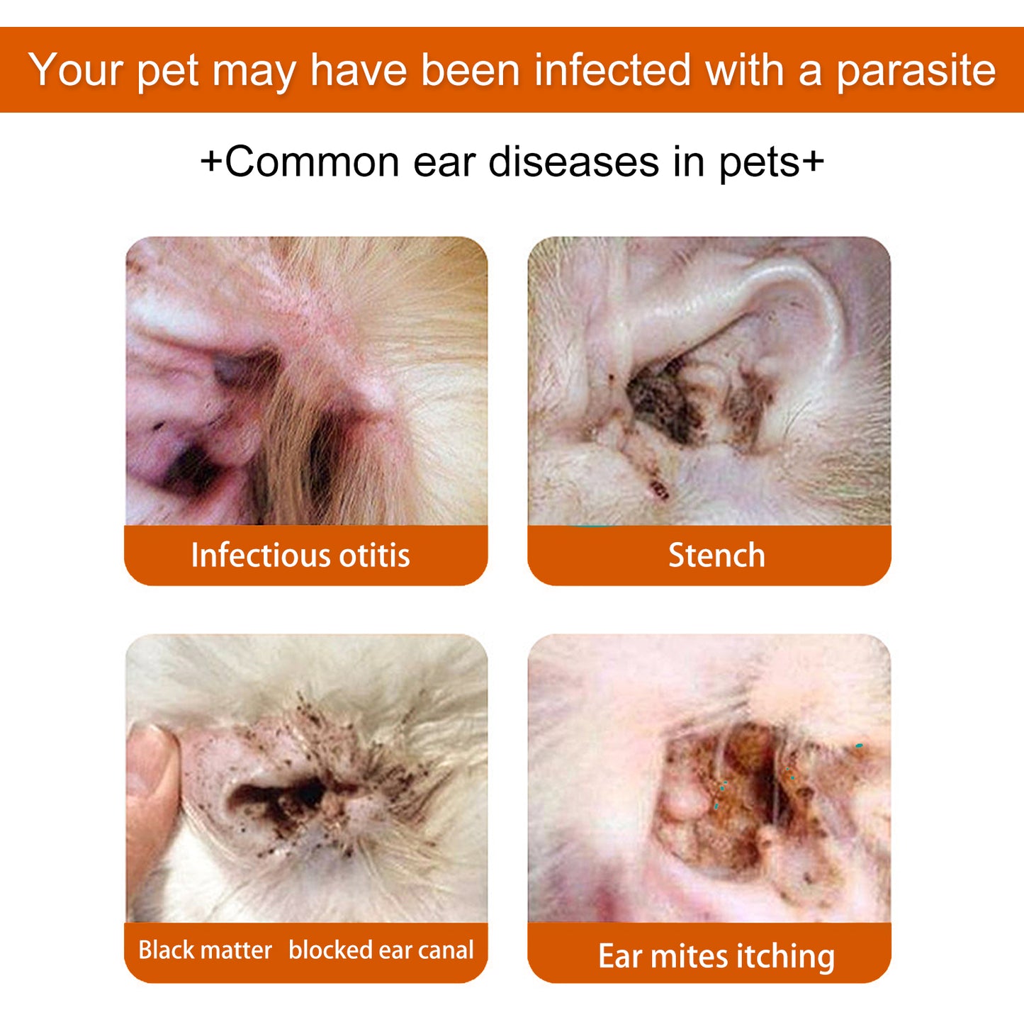 Keep your pet’s ears fresh and clean with these Deodorizing Pet Earwax Cleansing Wipes. Designed to gently remove earwax and neutralize odors, they promote healthy ear hygiene without irritation.