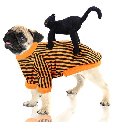 Funny Halloween Dog Costumes