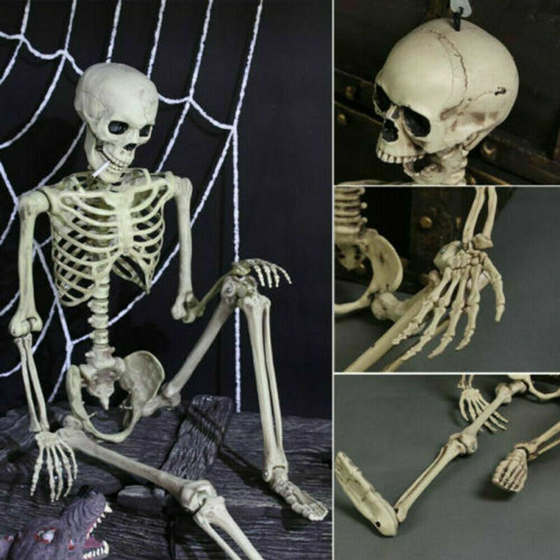 Poseable Full Life Size Skeleton Halloween Décor