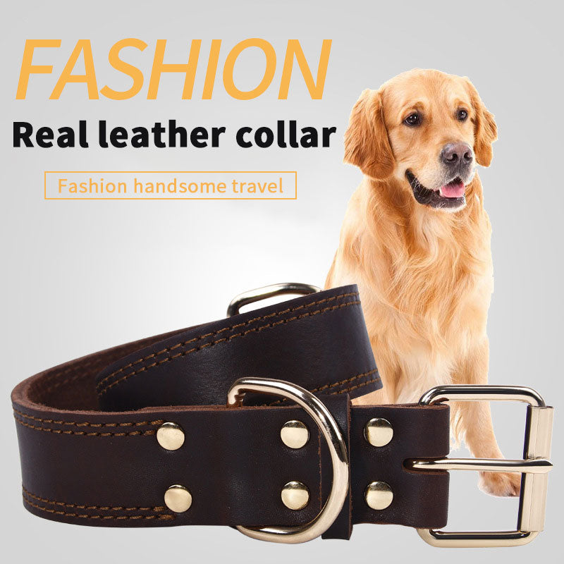 Ensure your pup looks stylish and stays safe with this quality Leather & Copper Dog Collar. Strong, durable and designed to last, it's perfect for adventures with your four-legged friend.