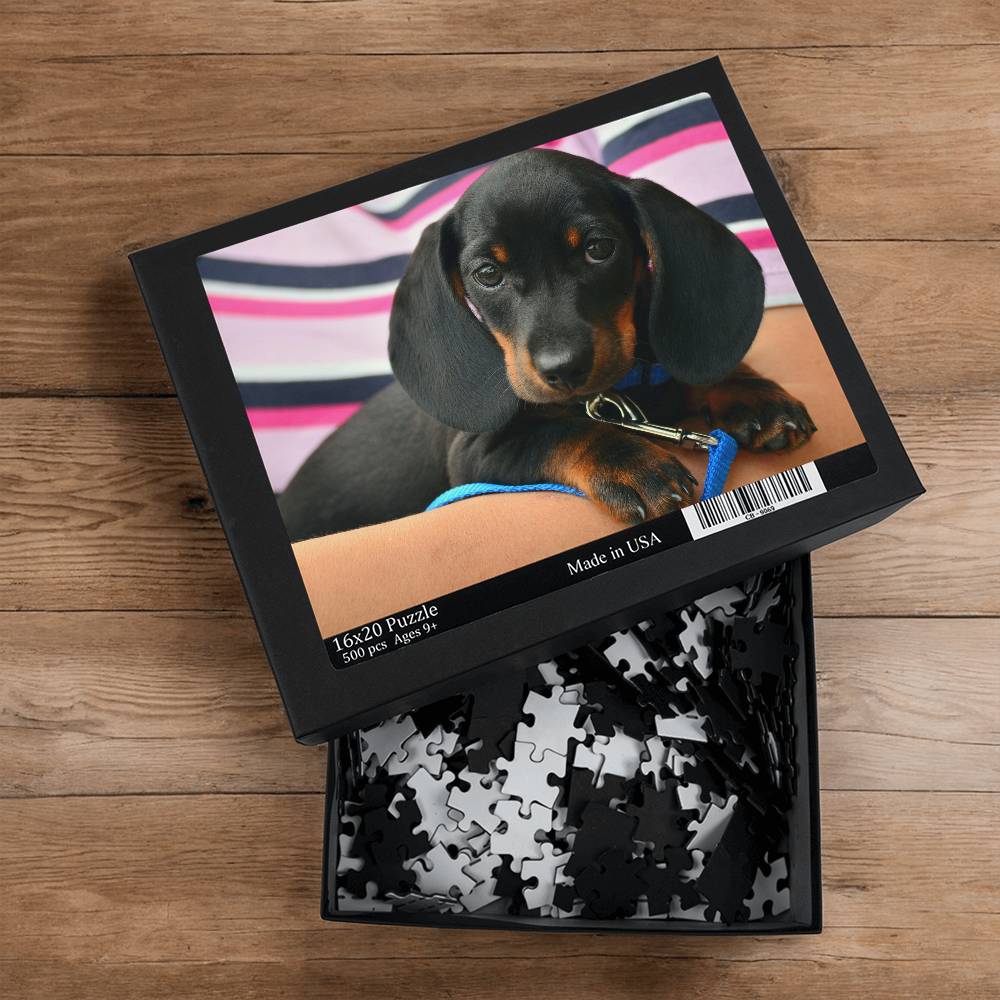 Dachshund Puppy Puzzle
