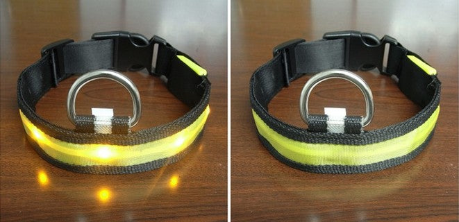 This LED dog collar with its flashing light will turn tails heads! So say goodbye to the same old boring walk with Fido and get your pup noticed with this special collar. Light up the night and show off your fur baby's chic style with this must-have pup accessory.