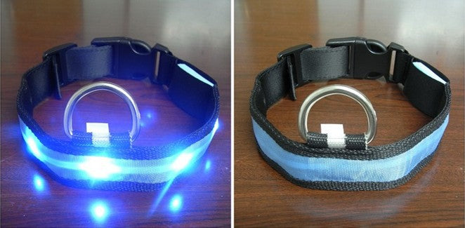 This LED dog collar with its flashing light will turn tails heads! So say goodbye to the same old boring walk with Fido and get your pup noticed with this special collar. Light up the night and show off your fur baby's chic style with this must-have pup accessory.