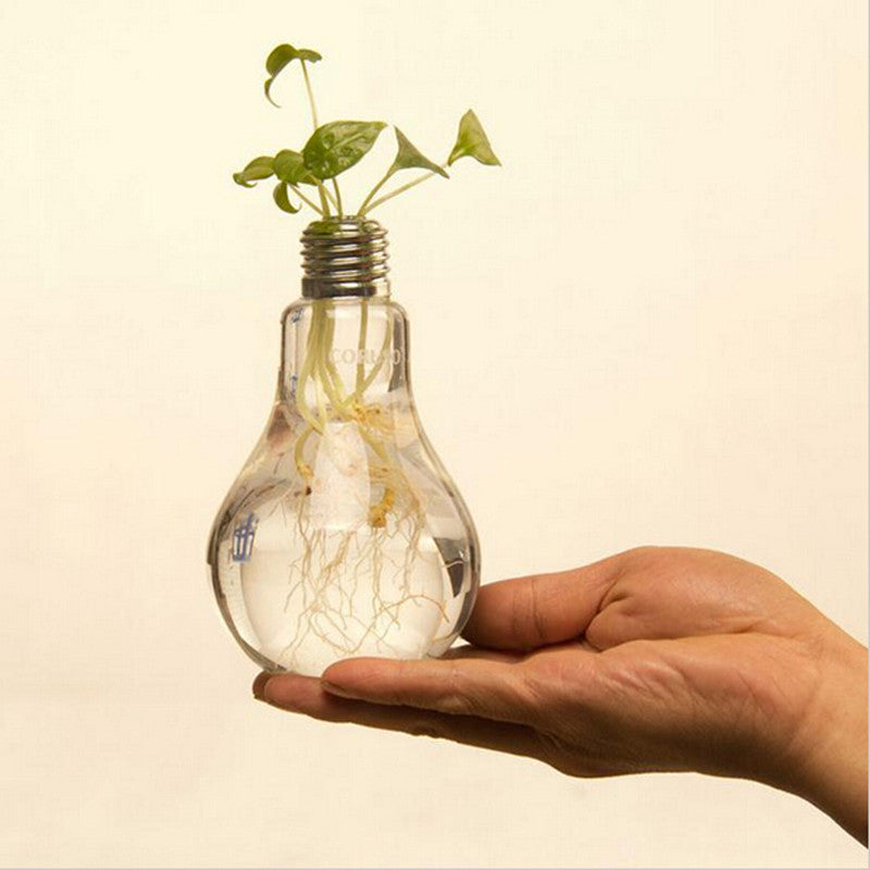 Product Name: Creative Bulb Vase Product material: high boron glass Product size: bottle mouth of about 2.5cm, bottle belly of about 8cm, bottle height of about 14cm Product features: simple fashion, suitable for any corner of the home, will be perfect for good scenery. Instructions: pour the clear water directly into the bottle and insert the plant you like.
