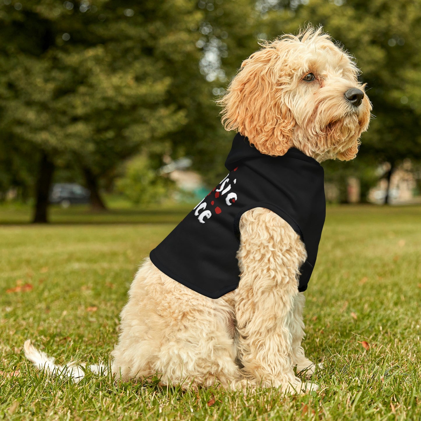 Keep your dog warm, cool, and stylish with this Black Forensic Science Dog Hoodie! Show off your dogs effortless, on-trend cool with a statement piece that lets everyone know you’re all about the Fido-inspired life, in and out of the dog park.