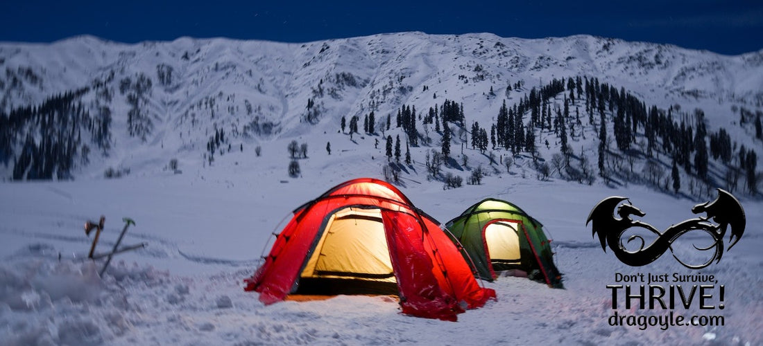 When camping in the snow, it's important to have the right equipment to keep you warm and dry. This includes a warm and waterproof sleeping bag, a sturdy four-season tent, and plenty of insulating layers for your clothing.