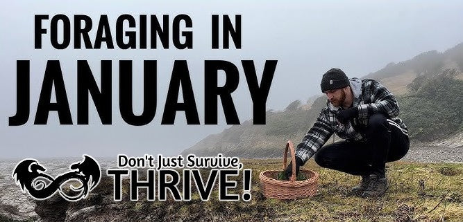 Foraging Calendar: What to Forage in January