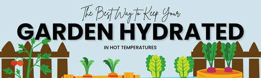 The Best Way to Keep Your Garden Hydrated in Hot Temperatures