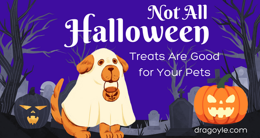 Not All Halloween Treats Are Good for Your Pets