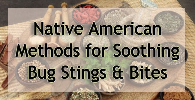 Native American Methods for Soothing Bug Stings & Bites