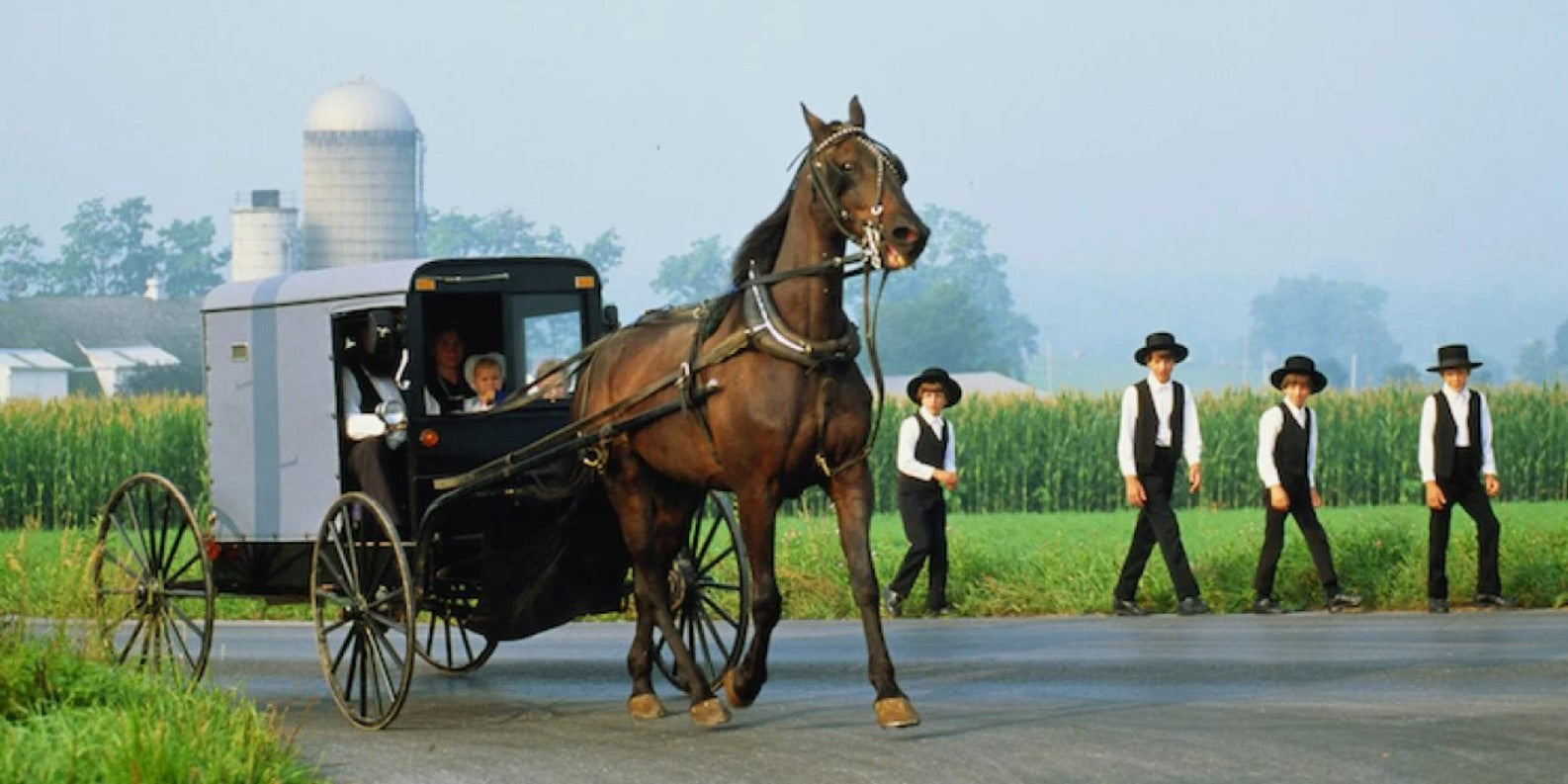 The Amish have skills that everyone should know in order to survive a natural disaster or emergency situation.  Having emergency supplies isn't good enough, you need to be prepared in every way. 