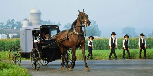 The Amish have skills that everyone should know in order to survive a natural disaster or emergency situation.  Having emergency supplies isn't good enough, you need to be prepared in every way. 