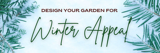 Design Your Garden for Winter Appeal