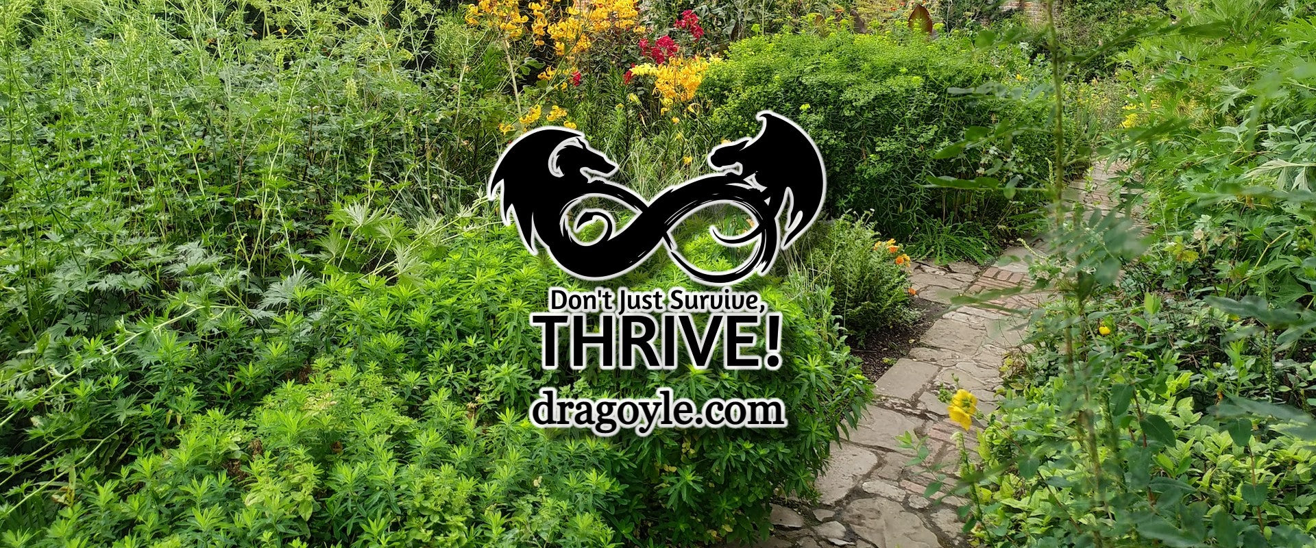 10 Things To Plant In The Fall To Harvest In Winter