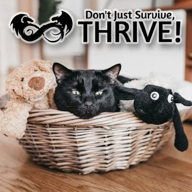 Carefully Curated Cat Supplies for your sweet fur baby. Enjoy play time with awesome interactive play toys.&nbsp;