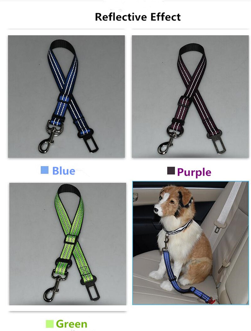 Safe Reflective Nylon Pet Seatbelt