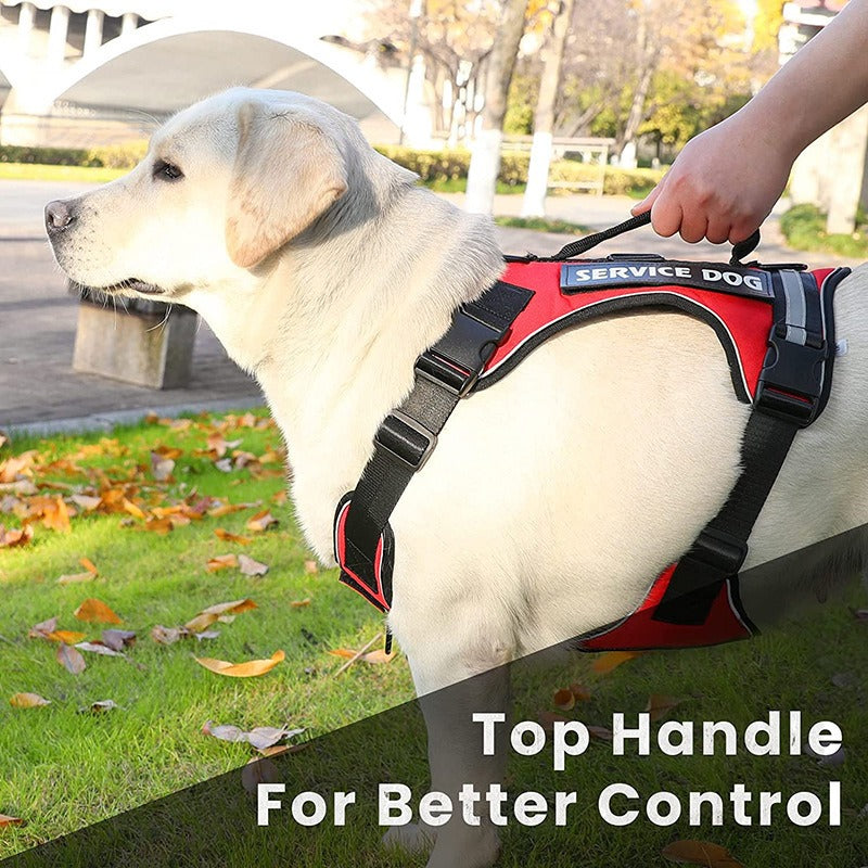 Introducing the Reflective Explosion-Proof Service Dog Harness, designed for your furry companion's safety and comfort. With its reflective material, your service dog will be visible at night, providing peace of mind. 