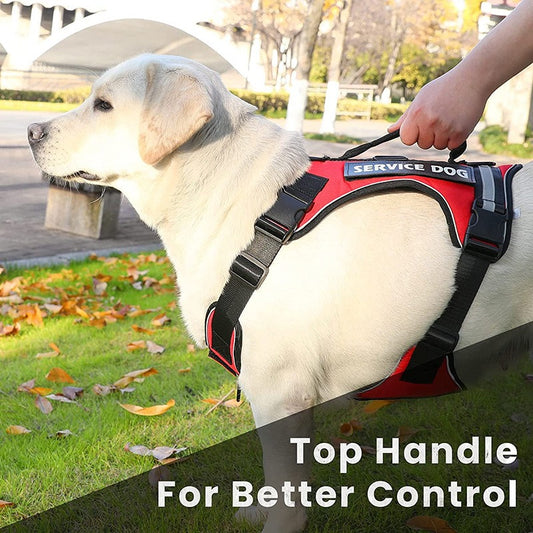 Reflective Explosion-Proof Service Dog Harness