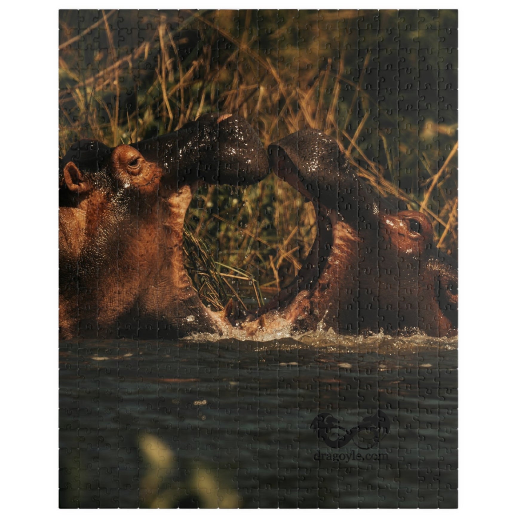 Join the love story of two adorable hippos with this Kissing Hippos Puzzle! With 110 to 1014 pieces, this puzzle offers a challenge for all levels. Piece by piece, watch the vibrant colors and intricate details come together to create a heartwarming scene that will inspire you every time you complete it.