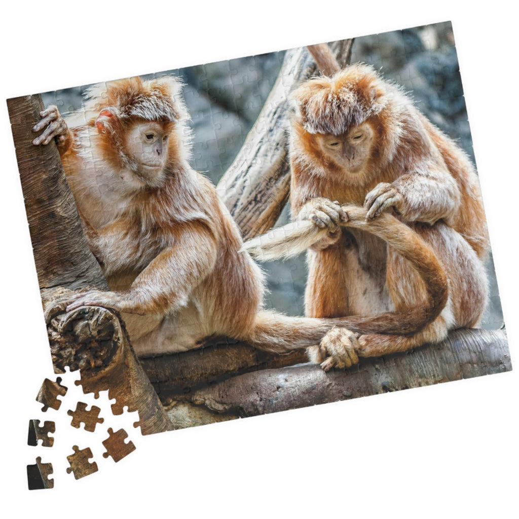 Get ready for endless fun with the Two Adorable Monkeys Puzzle! Featuring two playful monkeys in a stunning 110 to 1014 piece puzzle, this quirky and humorous puzzle is perfect for anyone who doesn't take themselves too seriously. With unique word play, double meanings, and a playful tone, this puzzle is sure to provide hours of entertainment.