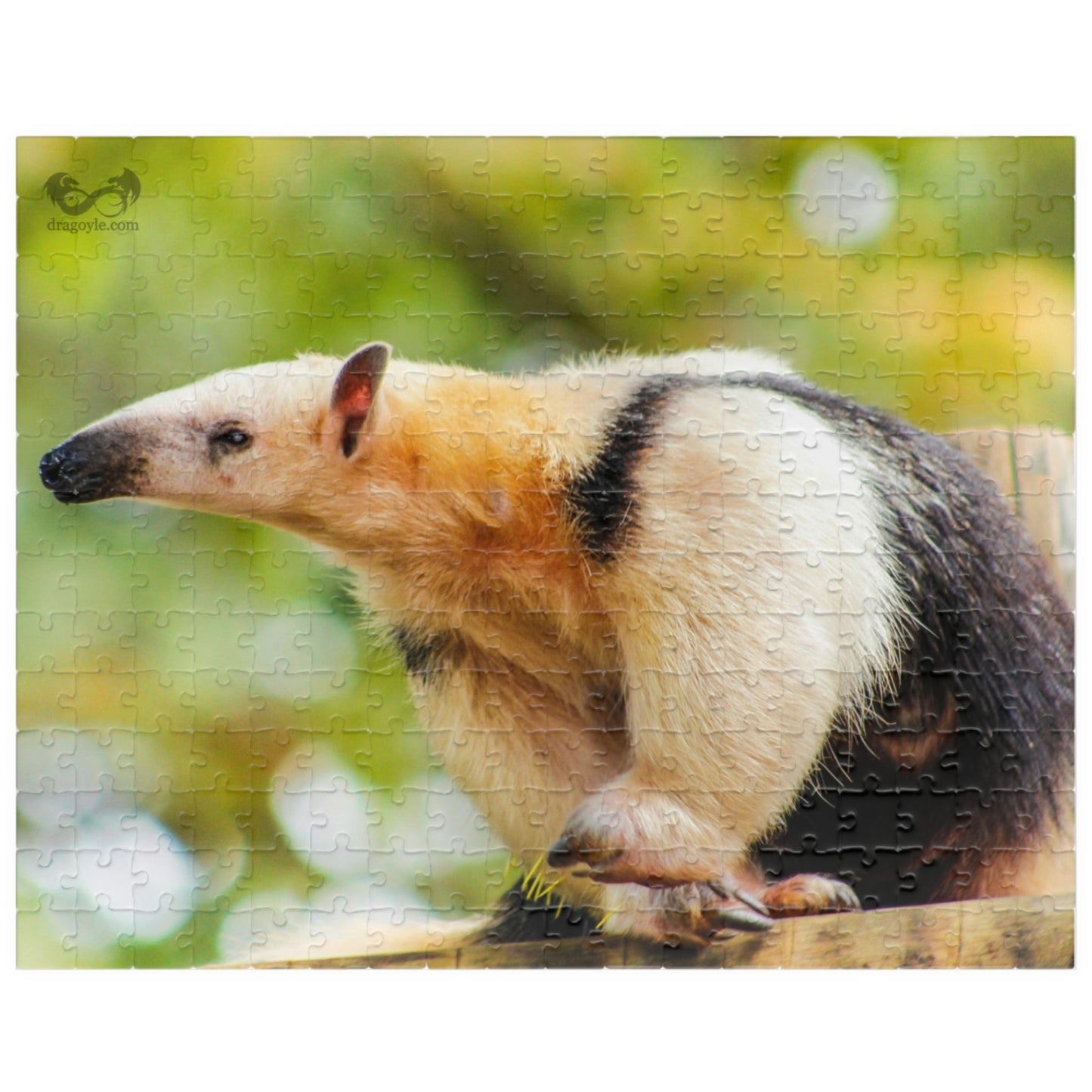 Unleash your inner explorer with our Giant Anteater Puzzle! With 110 to 1014 interlocking pieces, this puzzle is perfect for all skill levels. Delve into the world of this fascinating animal as you piece together its image, and experience the satisfaction of completing this challenging puzzle.