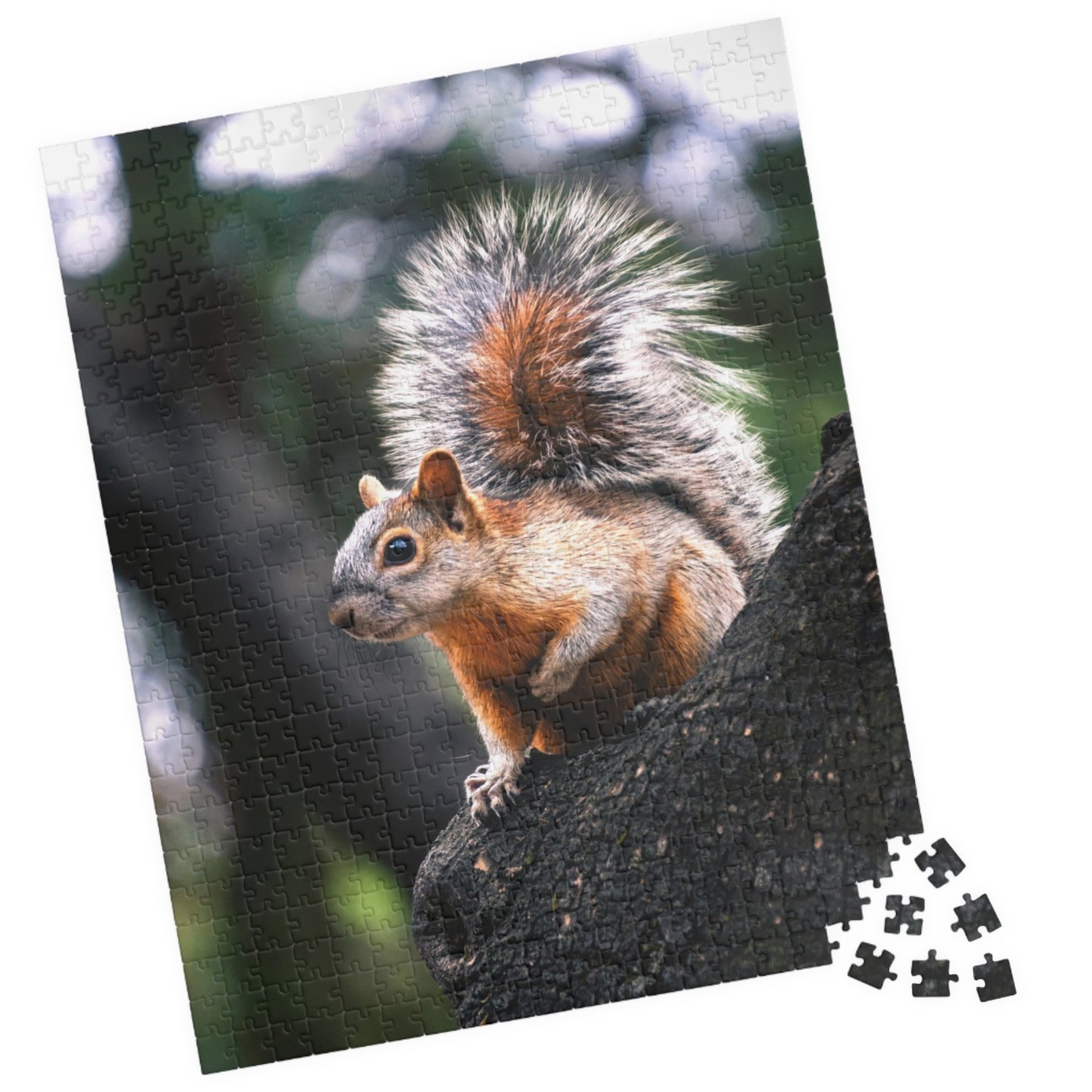 Get lost in nature with this playful Squirrel in The Park puzzle. With 110-1014 pieces, it's the perfect challenge for a lazy afternoon. Piece together this cute critter and enhance your puzzle skills.