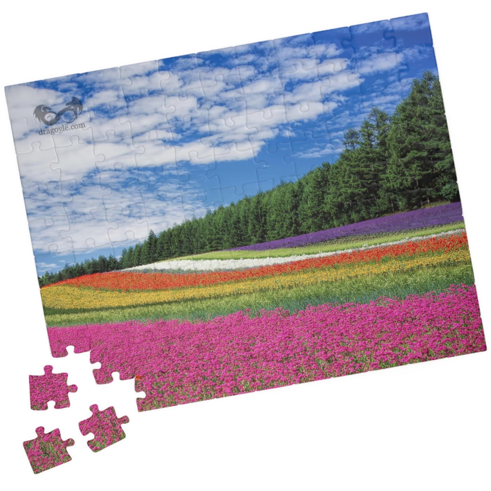 Experience the vibrant beauty of the Rainbow Colored Fields Puzzle! With 110 to 1014 pieces, this puzzle offers both a challenging and relaxing activity. As each piece falls into place, watch the mesmerizing colors come together to create a stunning landscape. 