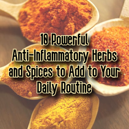 Digital Download 10 Powerful Anti-Inflammatory Herbs and Spices to Add to Your Daily Routine