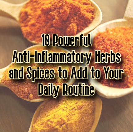 Digital Download 10 Powerful Anti-Inflammatory Herbs and Spices to Add to Your Daily Routine