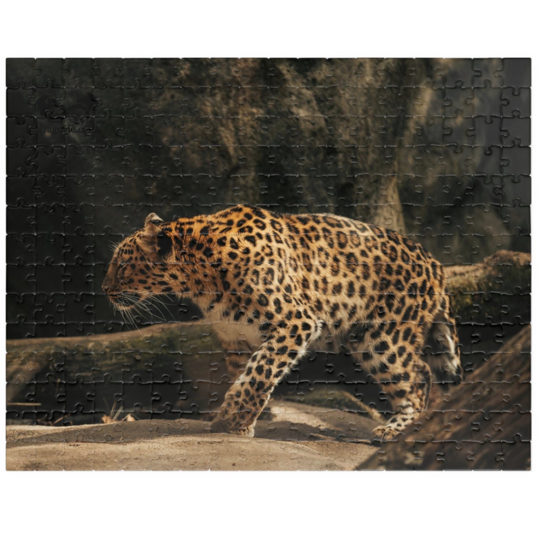 Unleash your wild side with our Stalking Leopard Puzzle! Challenge yourself with 110 to 1014 pieces of fierce feline action. Let the stalking begin as you put together this dynamic image of a sleek and powerful leopard. Embrace the thrill of the hunt and complete this puzzle today!