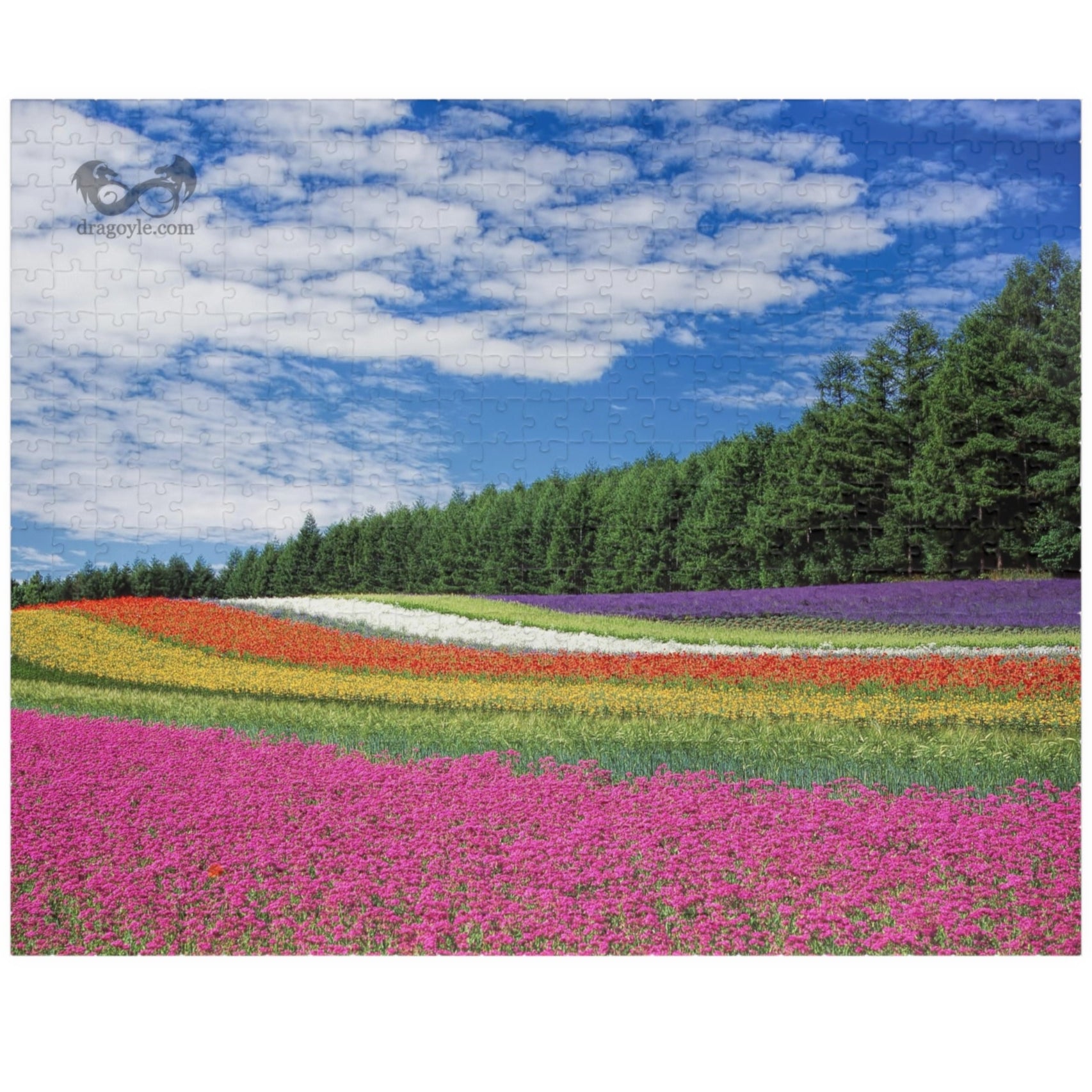 Experience the vibrant beauty of the Rainbow Colored Fields Puzzle! With 110 to 1014 pieces, this puzzle offers both a challenging and relaxing activity. As each piece falls into place, watch the mesmerizing colors come together to create a stunning landscape. 