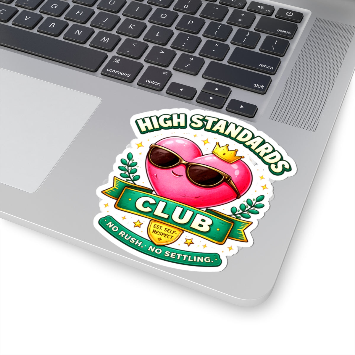 Sticker with 'High Standards Club' design on a laptop