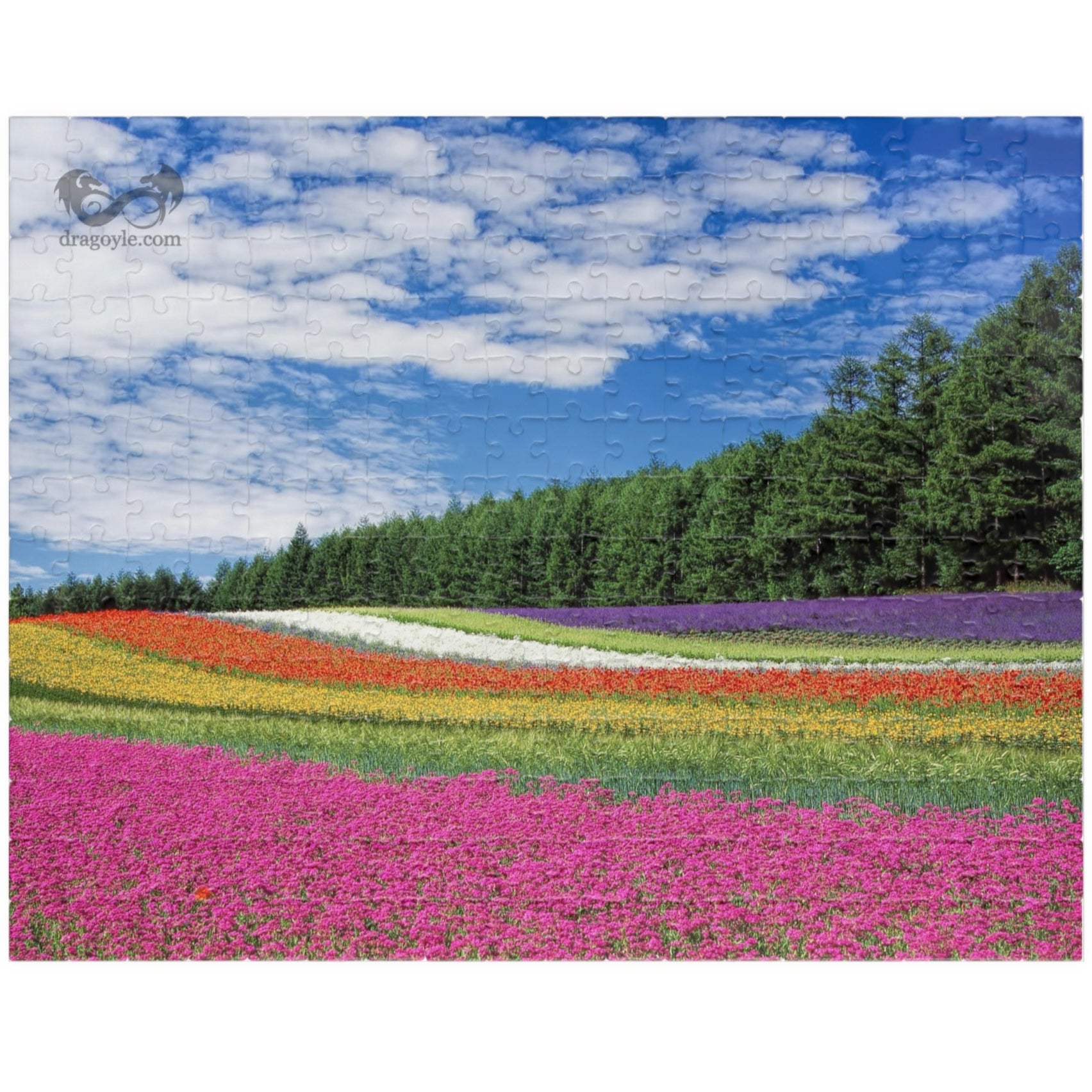 Experience the vibrant beauty of the Rainbow Colored Fields Puzzle! With 110 to 1014 pieces, this puzzle offers both a challenging and relaxing activity. As each piece falls into place, watch the mesmerizing colors come together to create a stunning landscape. 