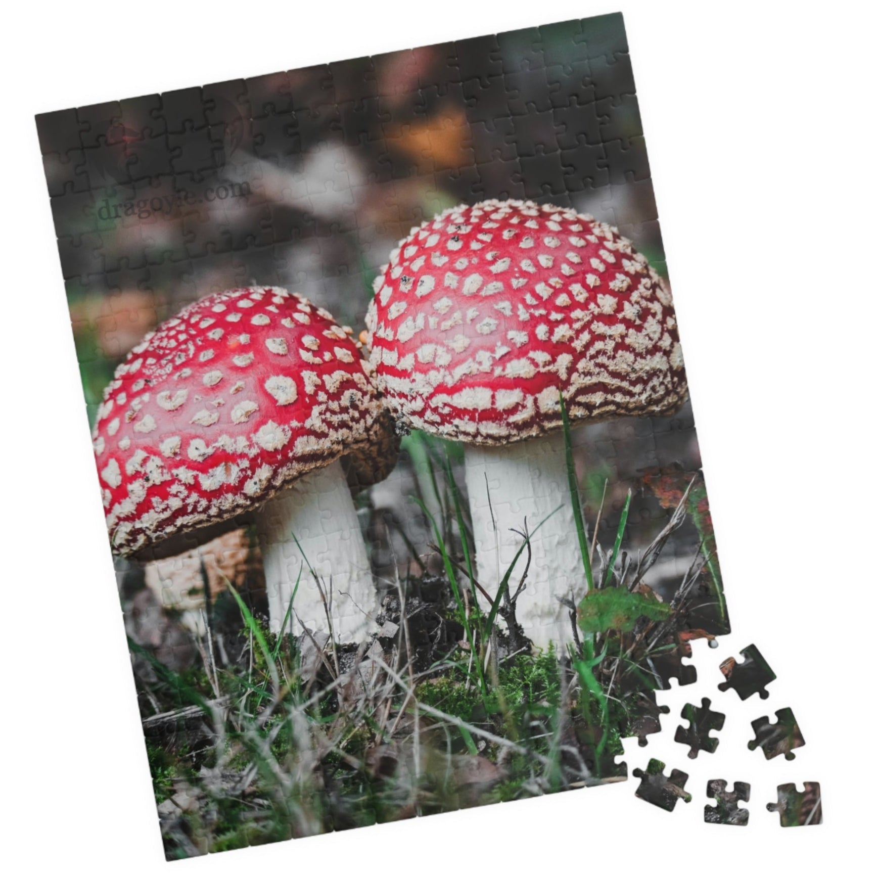 Solve a fun challenge with the Sister Red Mushrooms Puzzle! Available in 110 to 1014 pieces, this puzzle features vibrant colors and a whimsical design. Perfect for all ages, it offers a relaxing and rewarding activity for the whole family to enjoy together.