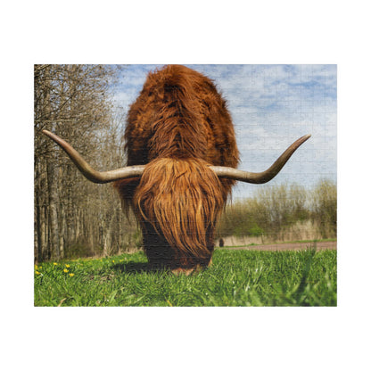 Highland Longhorn Cow Puzzle - 110 to 1014 Pieces