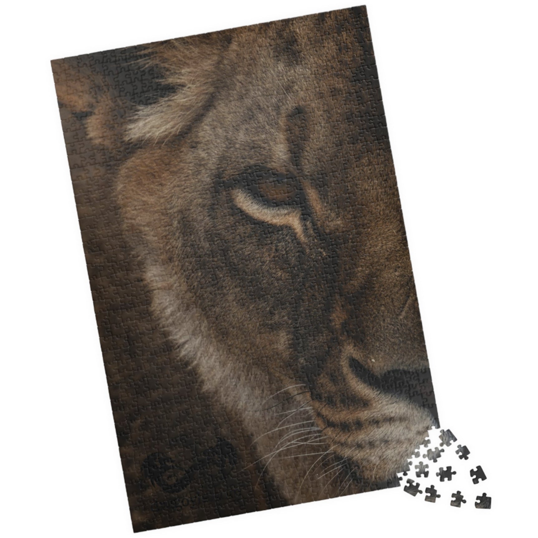 Piece together the fierce and majestic Lioness Close Up Puzzle! With 1014 pieces, this challenging puzzle will put your skills to the test and provide hours of entertainment. Perfect for those who crave adventure and love taking on a challenge. Unleash your inner risk-taker with this bold and inspiring puzzle.