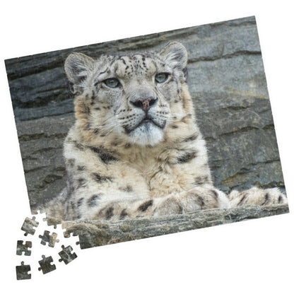 Join the wild adventure with our Royal Snow Leopard Puzzle! With 110 to 1014 pieces, this puzzle will challenge you to piece together the majestic snow leopard in its natural habitat. Unleash your inner risk-taker as you embark on this thrilling puzzle journey!