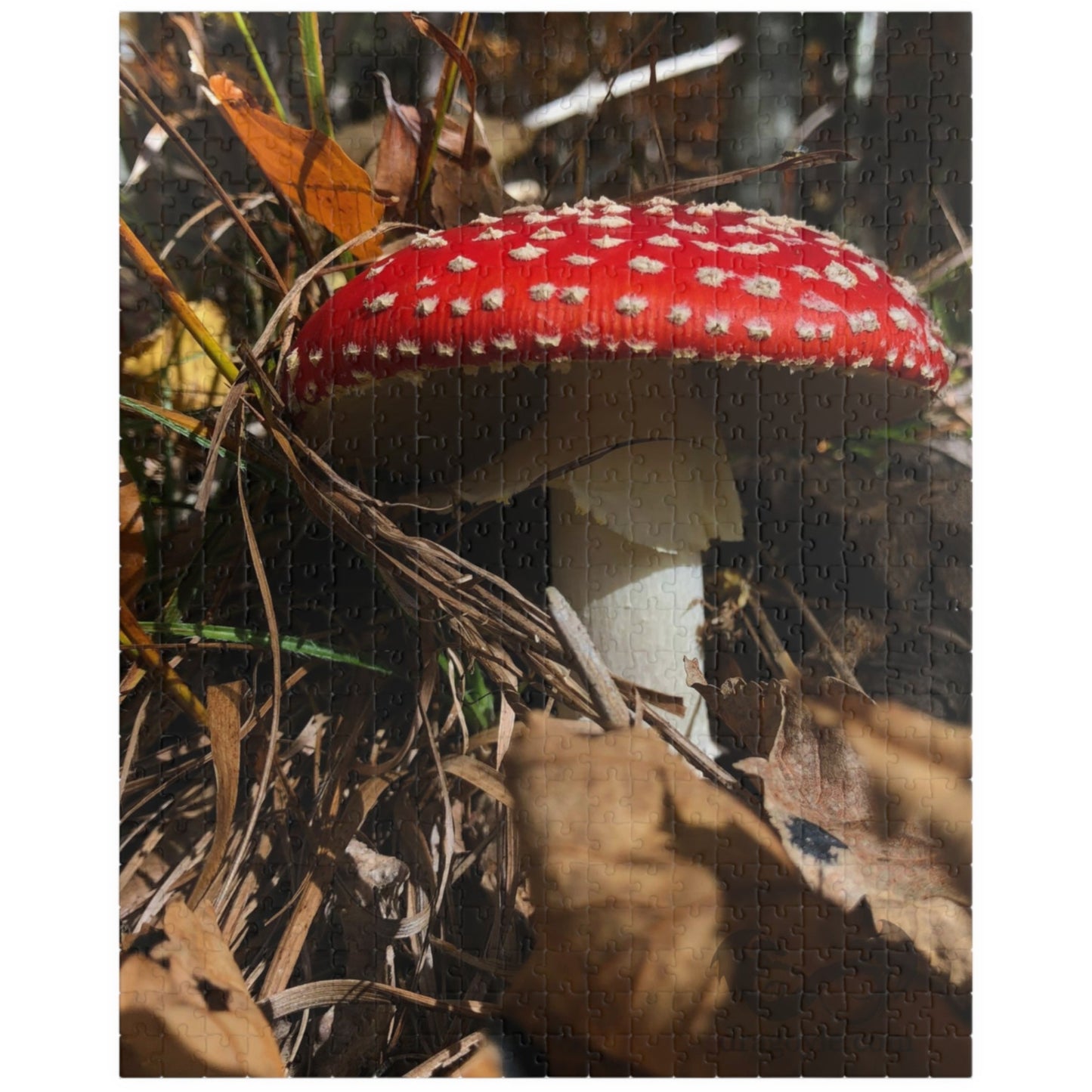 This Single Red Mushrooms Puzzle features a captivating image of vibrant mushrooms, ranging from 110 to 1014 pieces. With high-quality materials and intricate design, it offers a challenging yet satisfying puzzle-solving experience. 