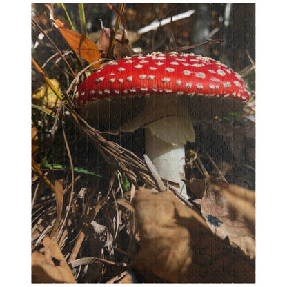 This Single Red Mushrooms Puzzle features a captivating image of vibrant mushrooms, ranging from 110 to 1014 pieces. With high-quality materials and intricate design, it offers a challenging yet satisfying puzzle-solving experience. 