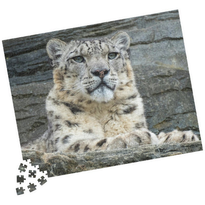 Join the wild adventure with our Royal Snow Leopard Puzzle! With 110 to 1014 pieces, this puzzle will challenge you to piece together the majestic snow leopard in its natural habitat. Unleash your inner risk-taker as you embark on this thrilling puzzle journey!