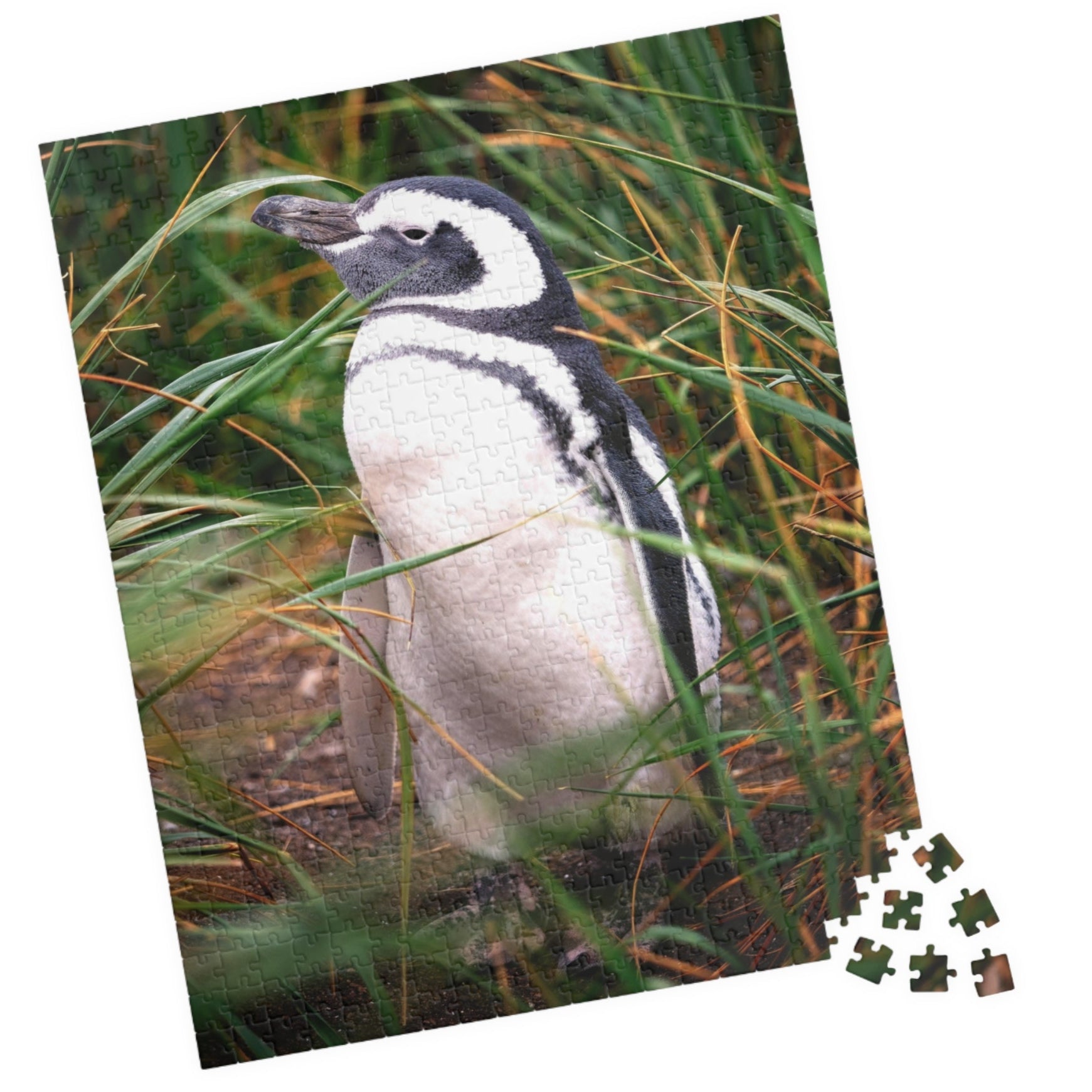Get lost in the waddling world of our Penguin in The Reeds Puzzle! With 110 to 1014 pieces, this puzzle features a playful penguin hidden among the reeds. Unwind while piecing together this quirky and fun puzzle. 