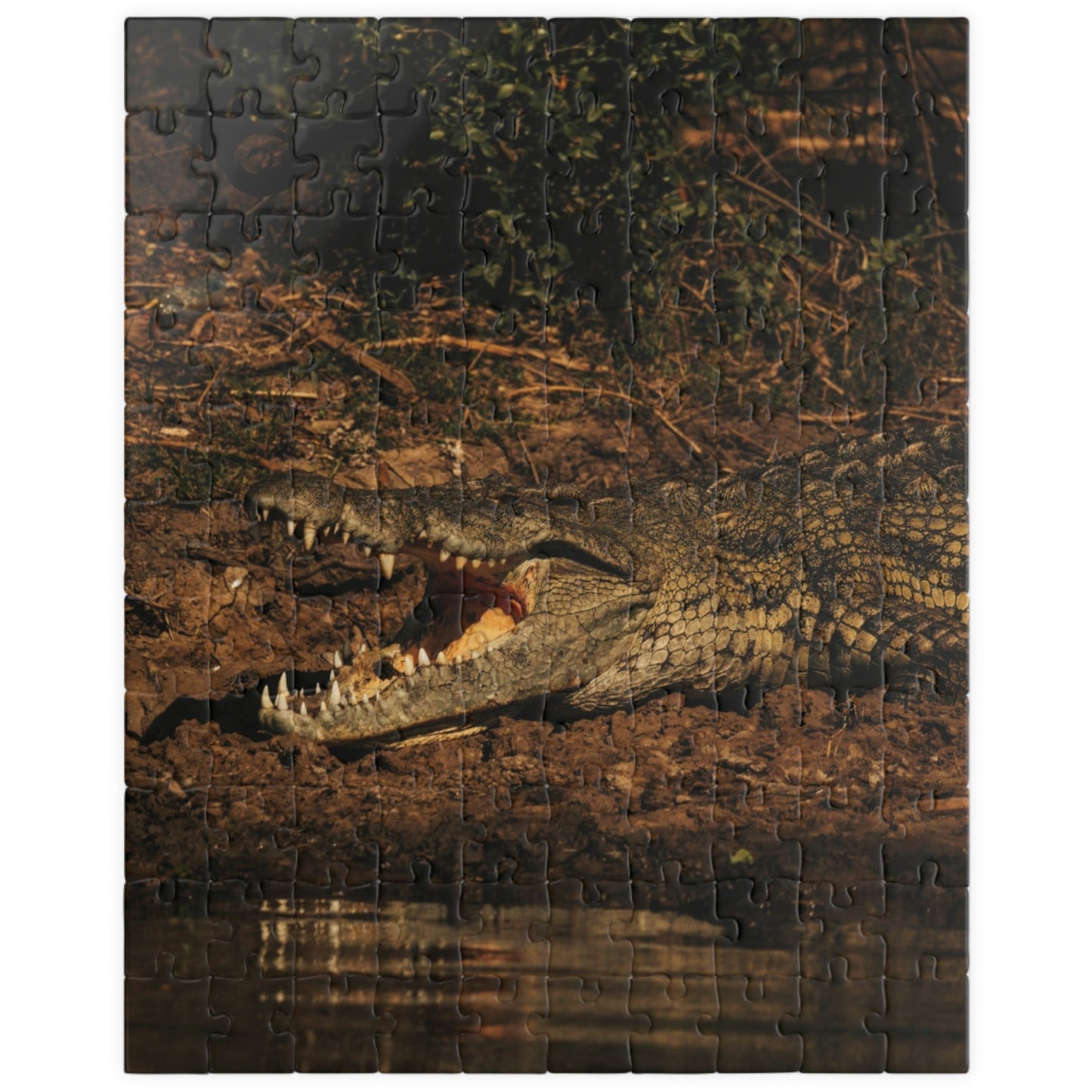 Unleash your adventurous spirit with our Crocodile Puzzle! Featuring 110-1014 pieces, this puzzle will challenge your mind and take you on a wild journey. With its unique crocodile design, it will keep you entertained for hours. Get ready to solve the challenge and conquer the crocodile!