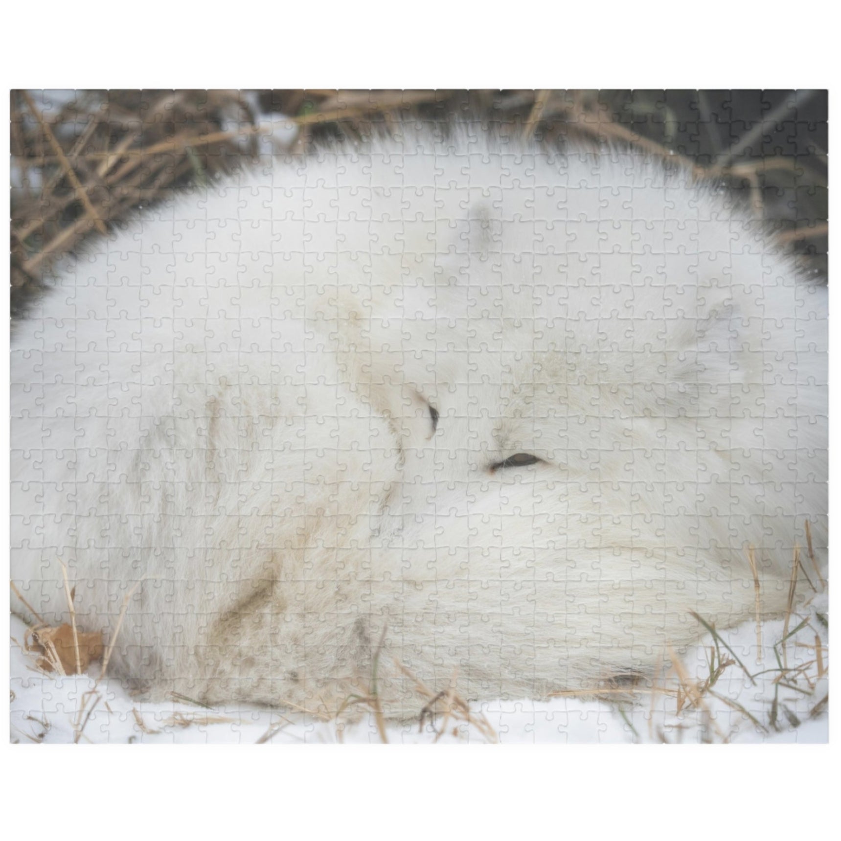 Discover the beauty of nature with our Sleeping White Fox Puzzle! This puzzle features a stunning image of a peaceful white fox, and is available in 110 to 1014 pieces. Piece by piece, you'll feel a sense of accomplishment as you bring this majestic creature to life. Perfect for animal lovers and puzzle enthusiasts alike!