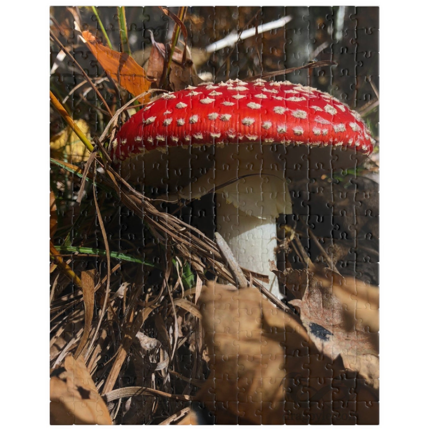 This Single Red Mushrooms Puzzle features a captivating image of vibrant mushrooms, ranging from 110 to 1014 pieces. With high-quality materials and intricate design, it offers a challenging yet satisfying puzzle-solving experience. 