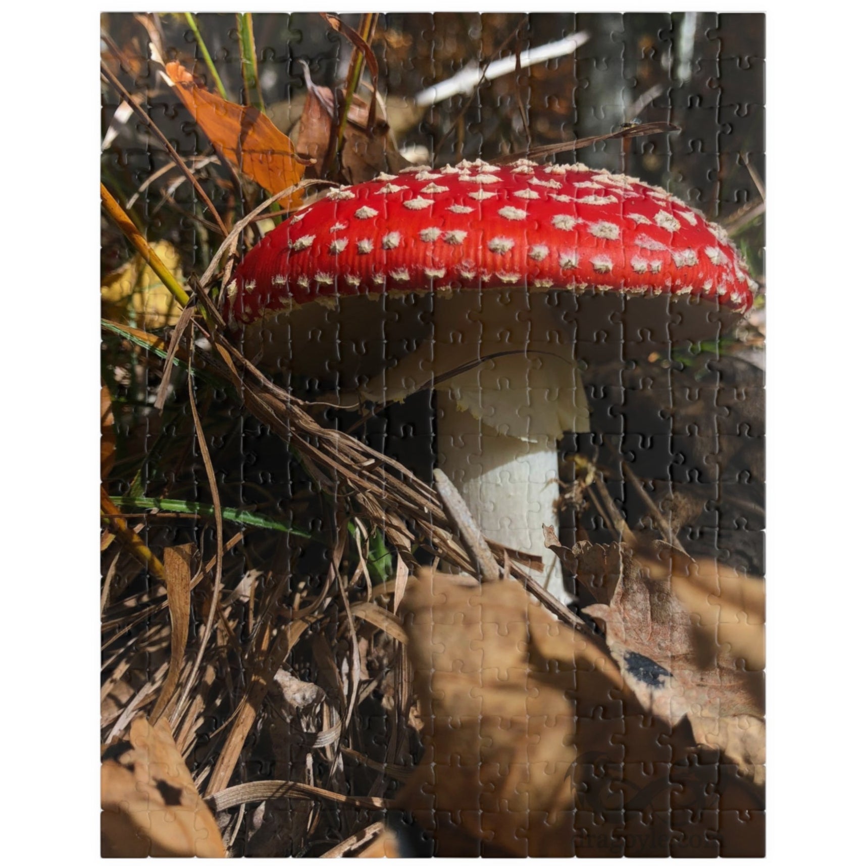 This Single Red Mushrooms Puzzle features a captivating image of vibrant mushrooms, ranging from 110 to 1014 pieces. With high-quality materials and intricate design, it offers a challenging yet satisfying puzzle-solving experience. 