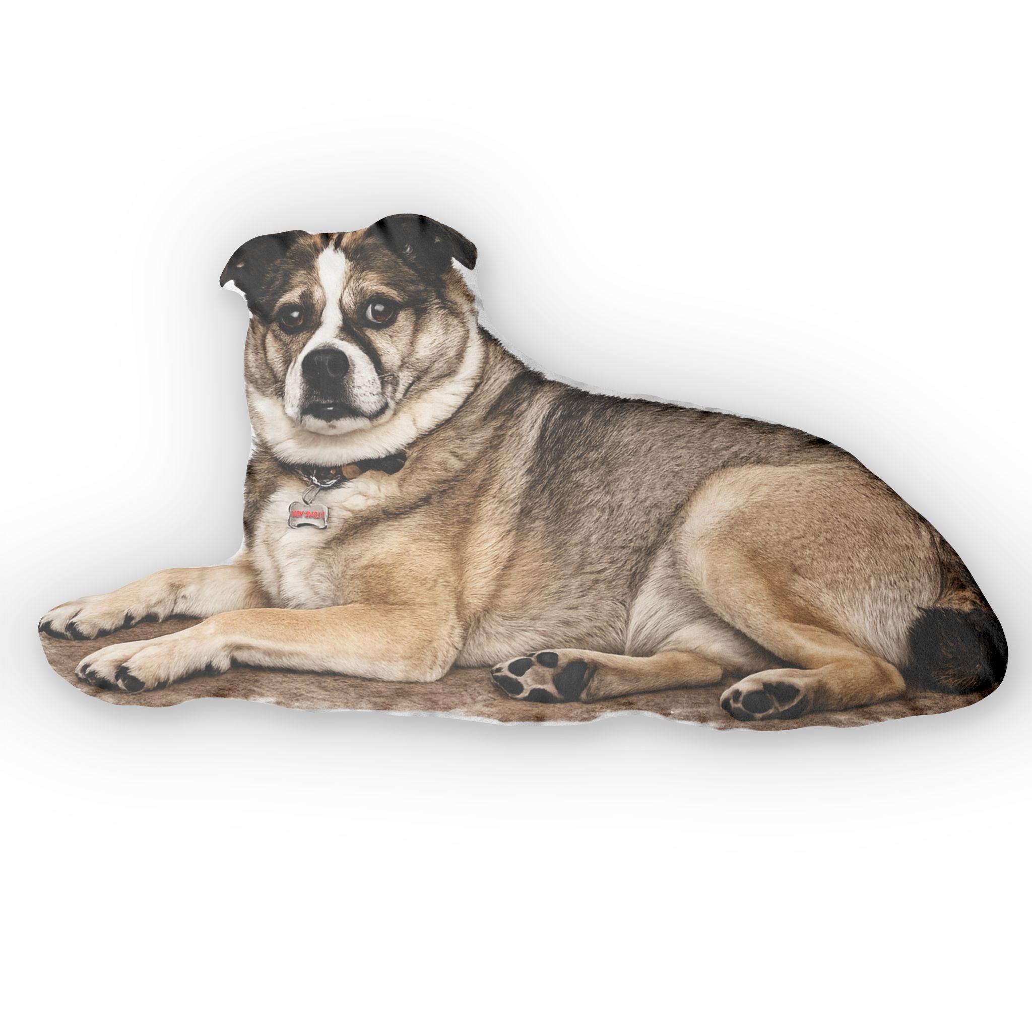Dog-shaped pillow on a white background