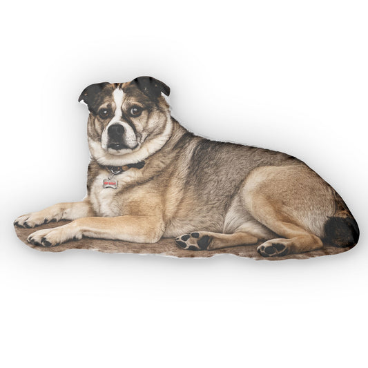 Pusky Custom Shaped Pillow