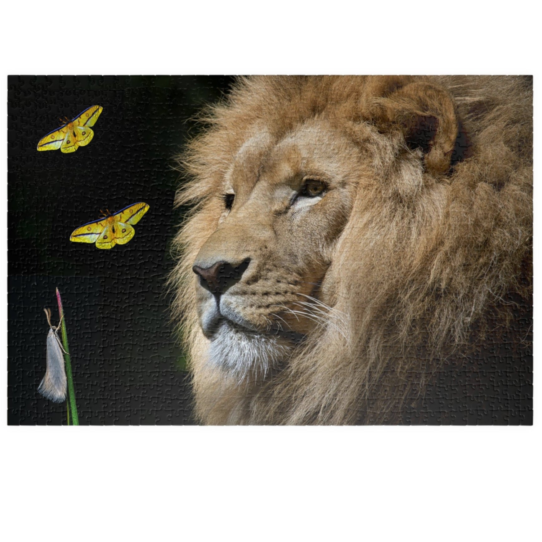 Unleash your adventurous spirit with the Lion &amp; Butterfly Puzzle! Challenge yourself with 110 to 1014 pieces and discover the stunning combination of a majestic lion and delicate butterfly. As you put together this high-quality puzzle, experience the thrill of completing a daring mission.