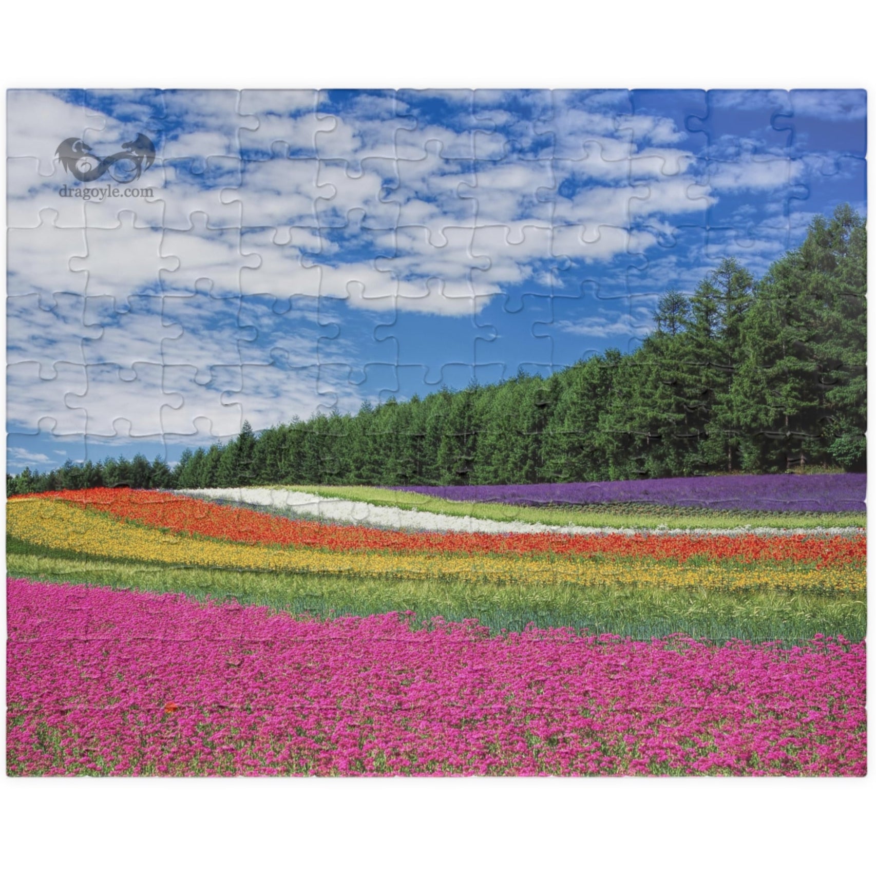 Experience the vibrant beauty of the Rainbow Colored Fields Puzzle! With 110 to 1014 pieces, this puzzle offers both a challenging and relaxing activity. As each piece falls into place, watch the mesmerizing colors come together to create a stunning landscape. 